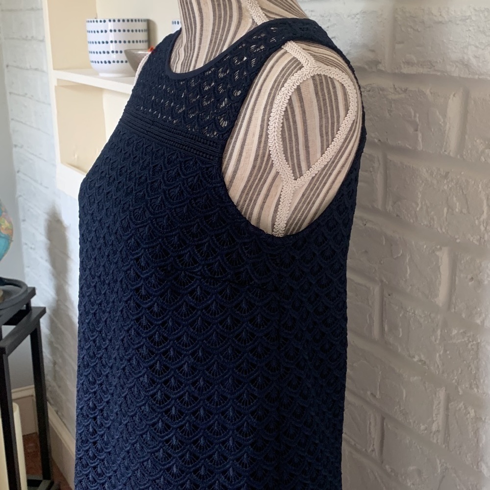 Loft Navy Blue Lace Overlay Sleeveless Dress - Picture 5 of 9